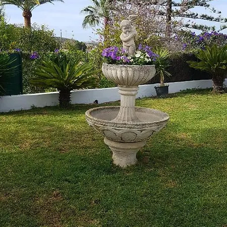 La Seniola